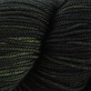 Terra Verte